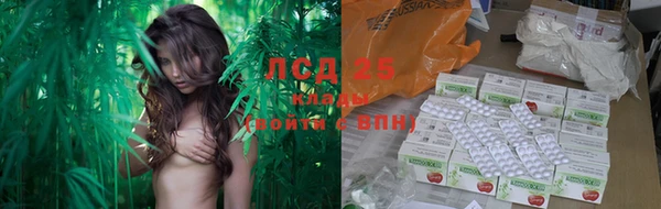прущие грибы Аркадак