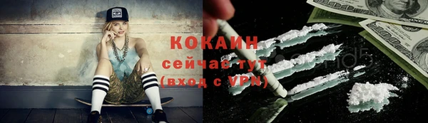 дмт Арсеньев