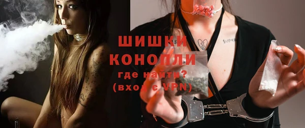 прущие грибы Аркадак