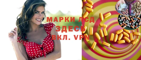 прущие грибы Аркадак